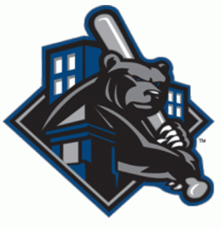Newark Bears 2011-2014 Partial Logo iron on heat transfer